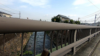 gx011666.mp4_snapshot_00.57_thumb.jpg