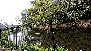 gx011669.mp4_snapshot_04.36_thumb.jpg