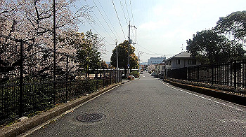 gx011670.mp4_snapshot_00.00_thumb.jpg