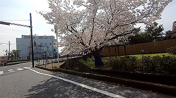 gx011670.mp4_snapshot_00.19_thumb.jpg
