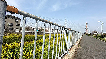 gx011682.mp4_snapshot_00.08_thumb.jpg