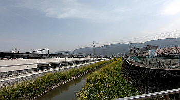 gx011684.mp4_snapshot_00.33_thumb.jpg