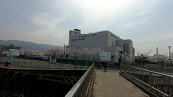 gx011684.mp4_snapshot_00.49_thumb.jpg