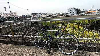 gx011684.mp4_snapshot_00.54_thumb.jpg