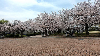 gx011688.mp4_snapshot_00.04_thumb.jpg
