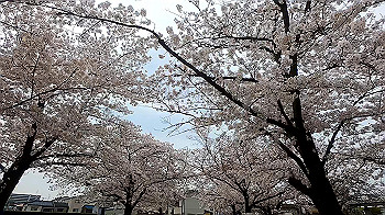 gx011688.mp4_snapshot_00.27_thumb.jpg