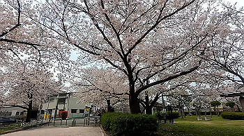 gx011688.mp4_snapshot_00.31_thumb.jpg