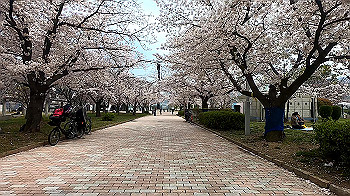 gx011688.mp4_snapshot_00.38_thumb.jpg