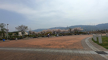 gx011688.mp4_snapshot_01.33_thumb.jpg