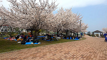 gx011689.mp4_snapshot_00.09_thumb.jpg