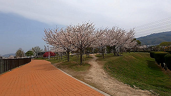 gx011690.mp4_snapshot_00.32_thumb.jpg