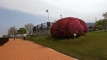 gx011690.mp4_snapshot_00.42_thumb.jpg
