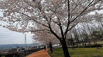 gx011690.mp4_snapshot_01.44_thumb.jpg