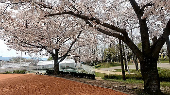 gx011690.mp4_snapshot_01.54_thumb.jpg