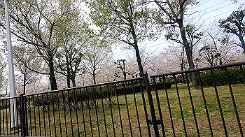 gx011691.mp4_snapshot_00.23_thumb.jpg