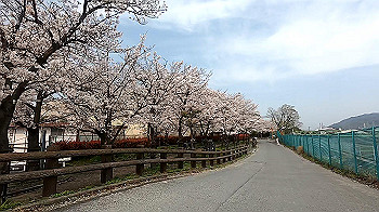 gx011693.mp4_snapshot_00.15_thumb.jpg
