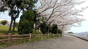 gx011693.mp4_snapshot_00.37_thumb.jpg