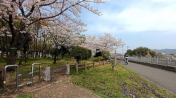 gx011693.mp4_snapshot_01.09_thumb.jpg