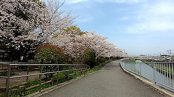 gx011693.mp4_snapshot_01.37_thumb.jpg