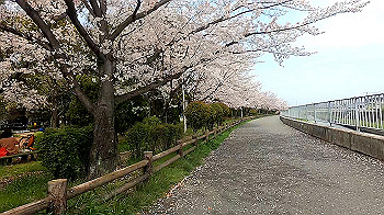 gx011693.mp4_snapshot_01.40_thumb.jpg