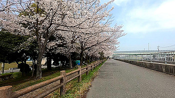 gx011693.mp4_snapshot_02.18_thumb.jpg