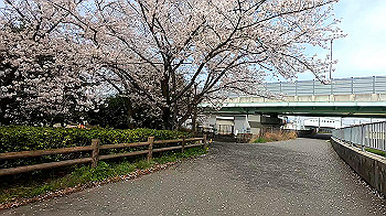 gx011693.mp4_snapshot_02.31_thumb.jpg