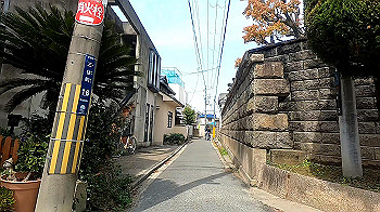gx011699.mp4_snapshot_00.56_thumb.jpg