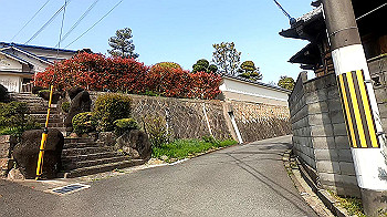 gx011708.mp4_snapshot_00.40_thumb.jpg