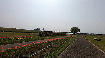 gx011711.mp4_snapshot_01.46_thumb.jpg