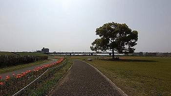 gx011711.mp4_snapshot_02.02_thumb.jpg