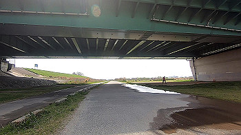 gx011714.mp4_snapshot_00.26_thumb.jpg