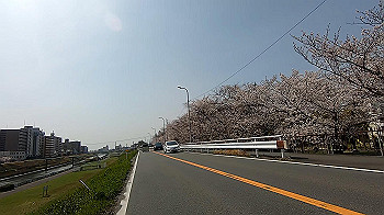 gx011719.mp4_snapshot_00.05_thumb.jpg