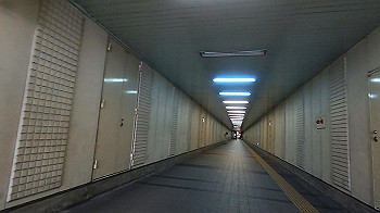 gx011723.mp4_snapshot_00.22_thumb.jpg