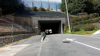 gx011726.mp4_snapshot_01.51_thumb.jpg