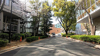 gx011727.mp4_snapshot_00.45_thumb.jpg