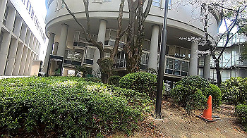 gx011727.mp4_snapshot_00.48_thumb.jpg