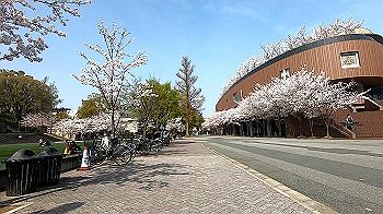 gx011727.mp4_snapshot_01.25_thumb.jpg