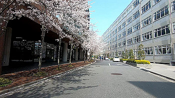 gx011728.mp4_snapshot_00.17_thumb.jpg