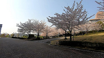 gx011728.mp4_snapshot_04.13_thumb.jpg
