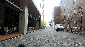 gx011728.mp4_snapshot_05.07_thumb.jpg