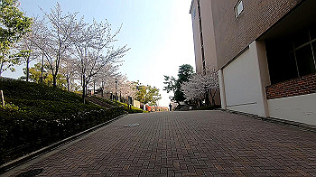 gx011728.mp4_snapshot_05.21_thumb.jpg