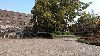 gx011729.mp4_snapshot_00.09_thumb.jpg