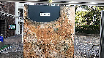 gx011731.mp4_snapshot_00.01_thumb.jpg