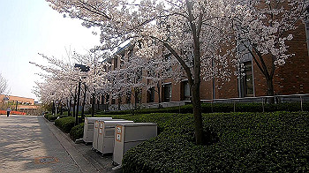 gx011734.mp4_snapshot_00.00_thumb.jpg