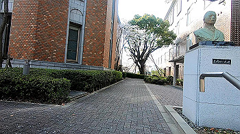 gx011734.mp4_snapshot_00.06_thumb.jpg