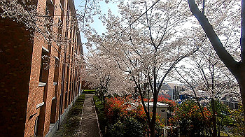 gx011734.mp4_snapshot_00.41_thumb.jpg