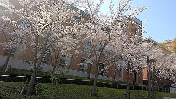 gx011735.mp4_snapshot_00.11_thumb.jpg