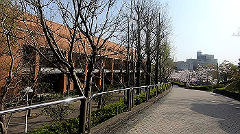gx011735.mp4_snapshot_00.51_thumb.jpg