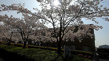 gx011735.mp4_snapshot_01.10_thumb.jpg