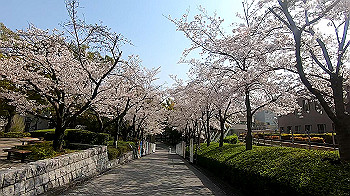 gx011735.mp4_snapshot_01.14_thumb.jpg